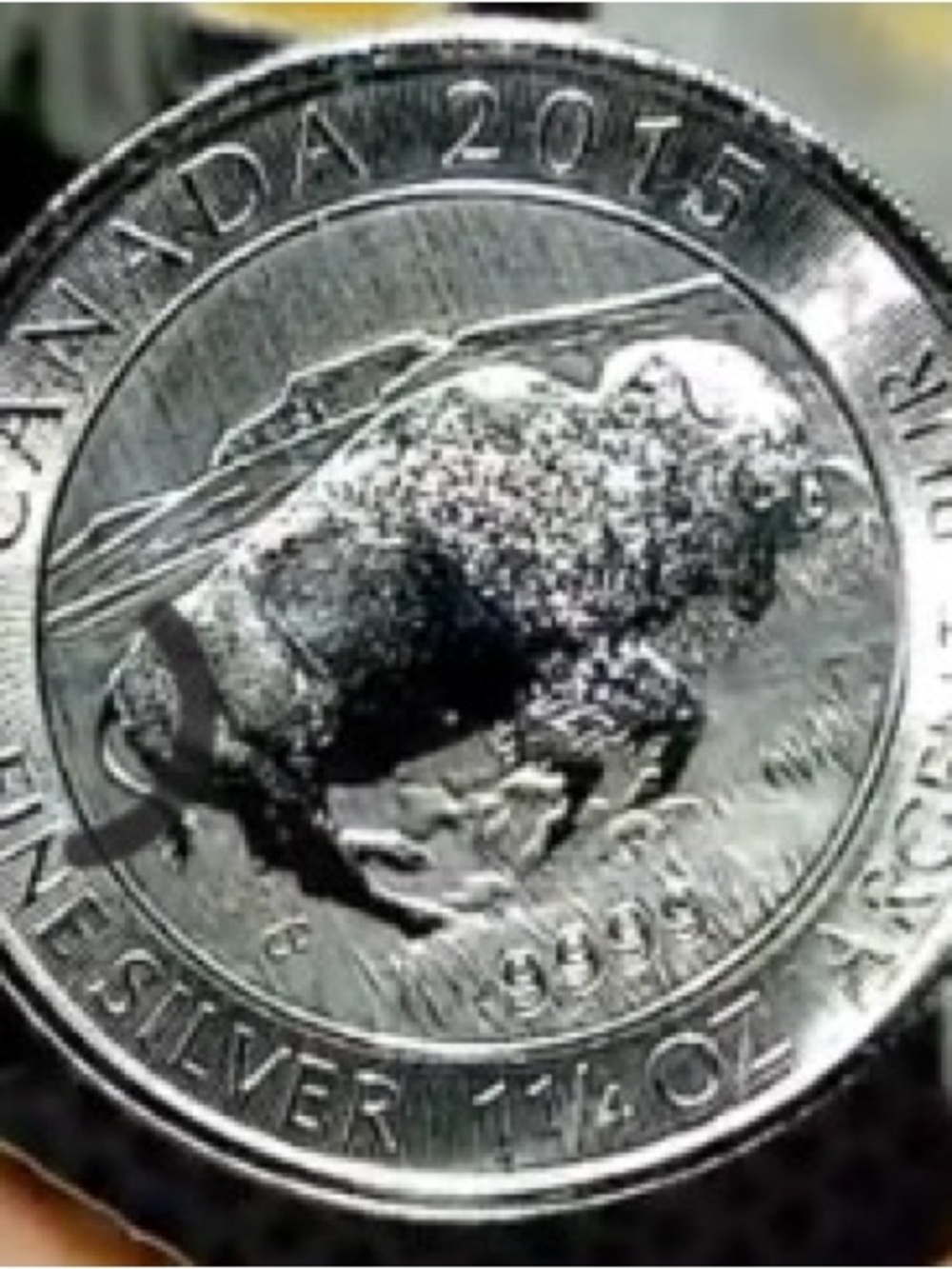 Canadian 2015 Silver Bison Round - .9999 Fine Silver